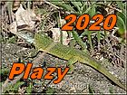 Plazy a jastery